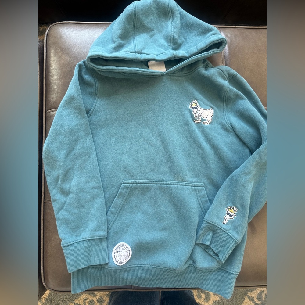 GOAT USA Teal Hooded Sweatshirt - youth large